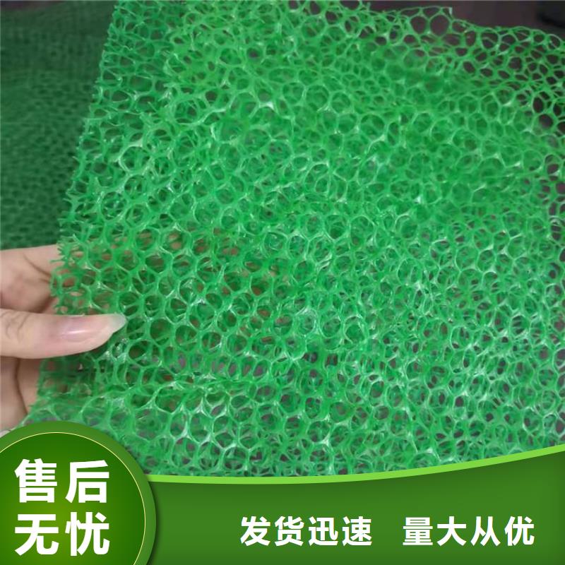 三維植被網-EM4三維護坡植草網墊