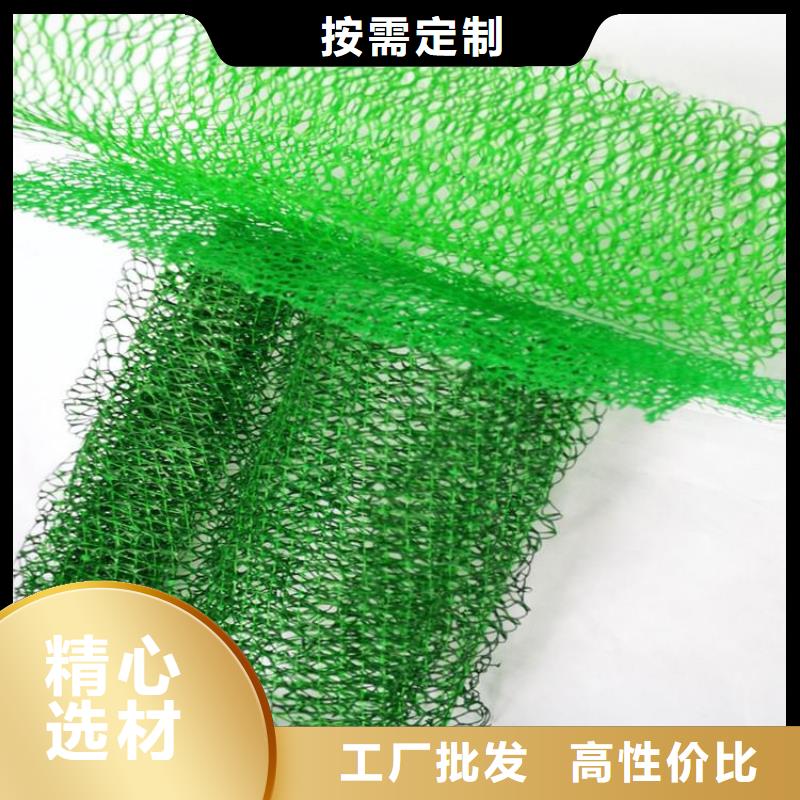 三維固土網墊EM3三維土工網墊