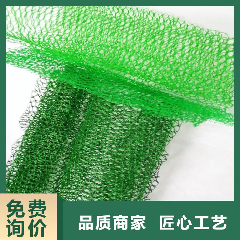 綠化EM5加筋護(hù)坡植草網(wǎng)墊