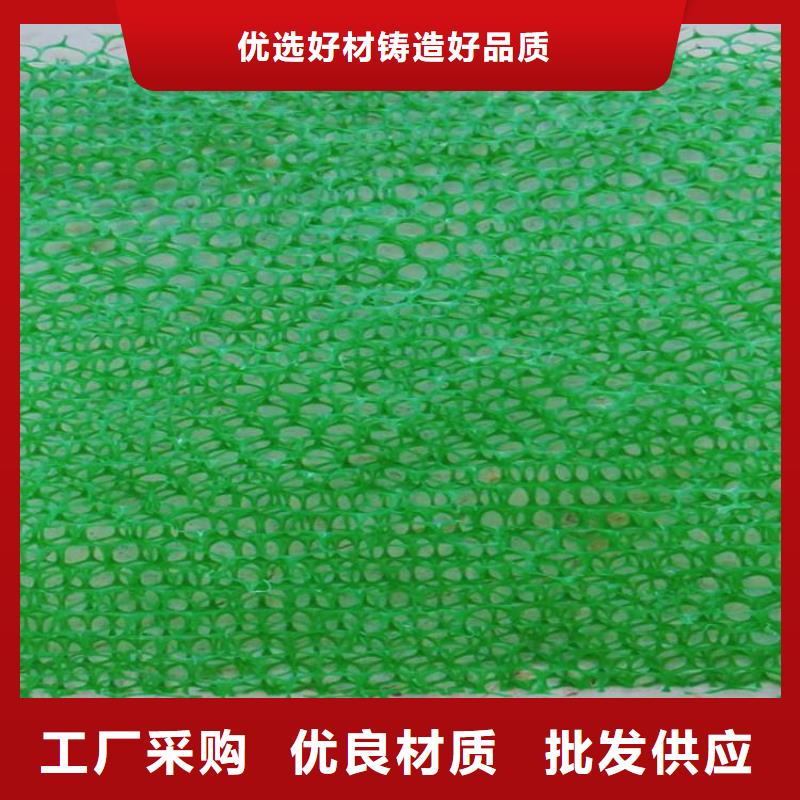 三維植被網(wǎng)土工格柵品質(zhì)保障售后無憂