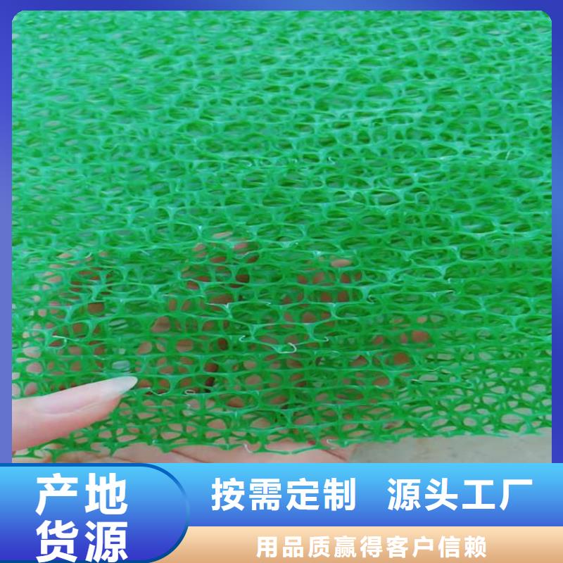 三維植被網防滲膜為您提供一站式采購服務