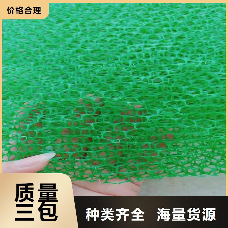 三維植被網【防滲膜】海量貨源