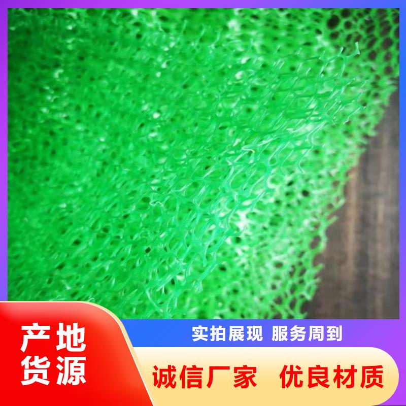 三維固土網(wǎng)墊了解更多