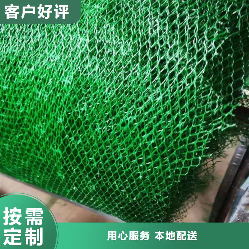 三维固土网垫EM4三维护坡植草网垫