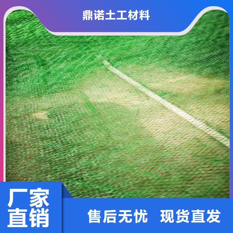 三維護坡植草網墊-EM5三維土工網墊