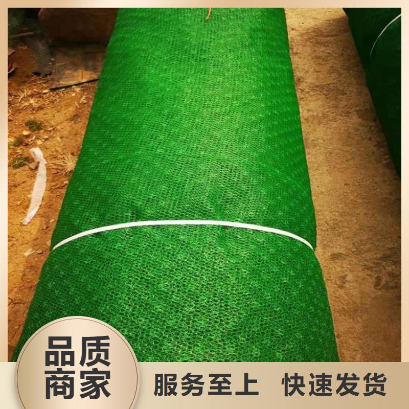 三維植被網土工膜經驗豐富品質可靠