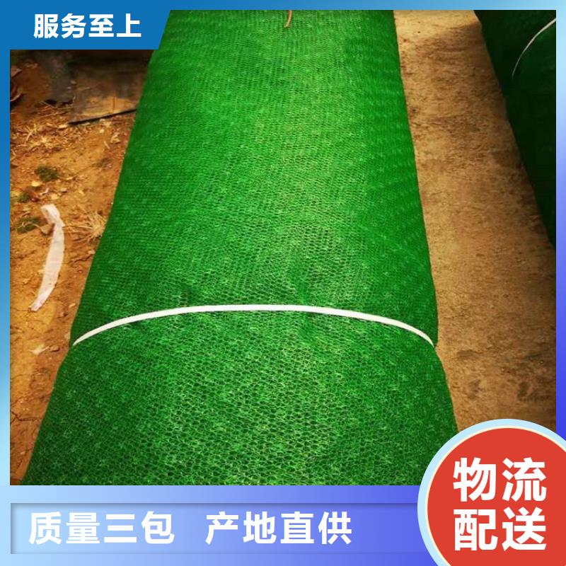 三維植被網-三維護坡植草網墊