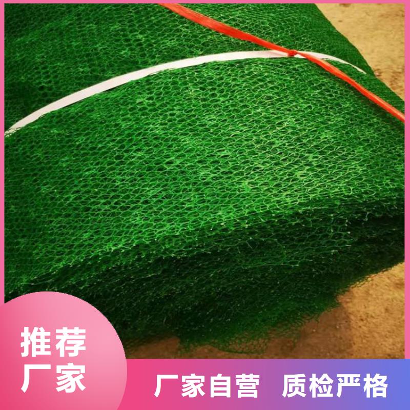 護坡植被植草網加筋EM4