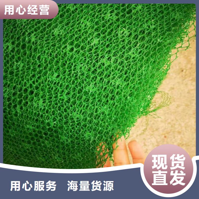 三維固土網墊-三維網墊