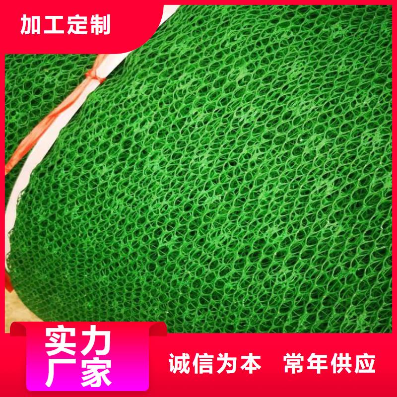 三維固土網墊EM3三維土工網墊