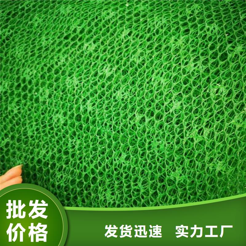 三維固土網(wǎng)墊-綠色三維植被網(wǎng)