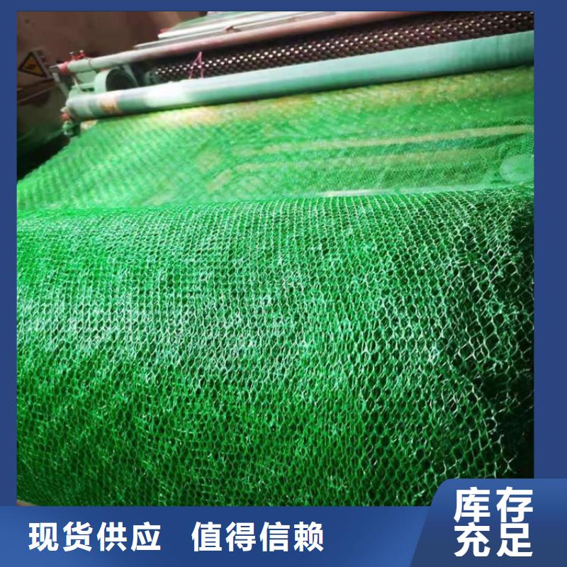 三維植草網墊護坡邊坡