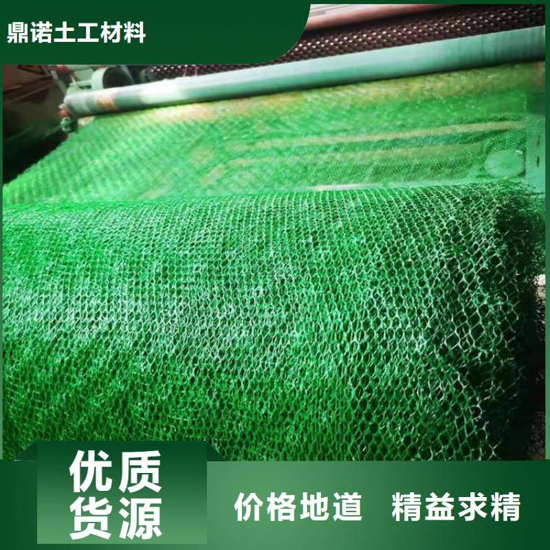 三維植被網(wǎng)土工格柵品質(zhì)保障售后無憂
