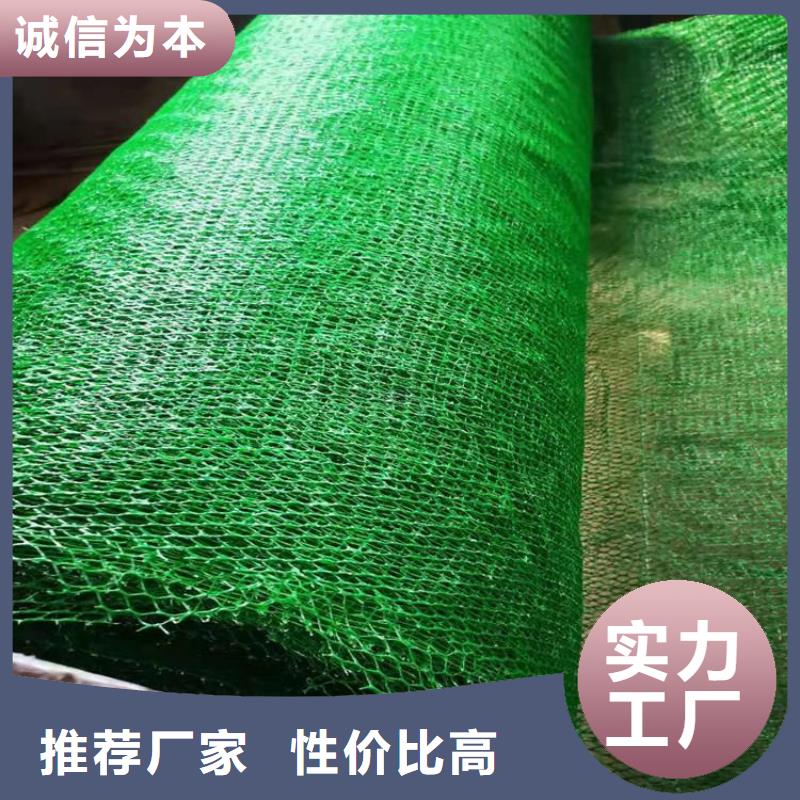 加筋EM3三維植被網
