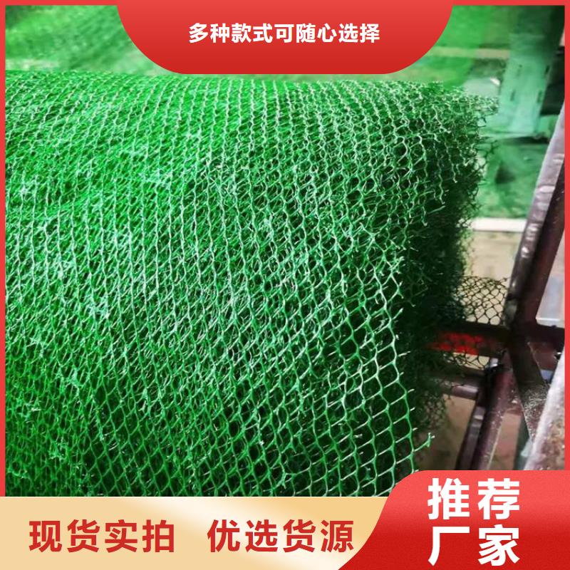 EM2三維植被網-EM5三維土工網墊
