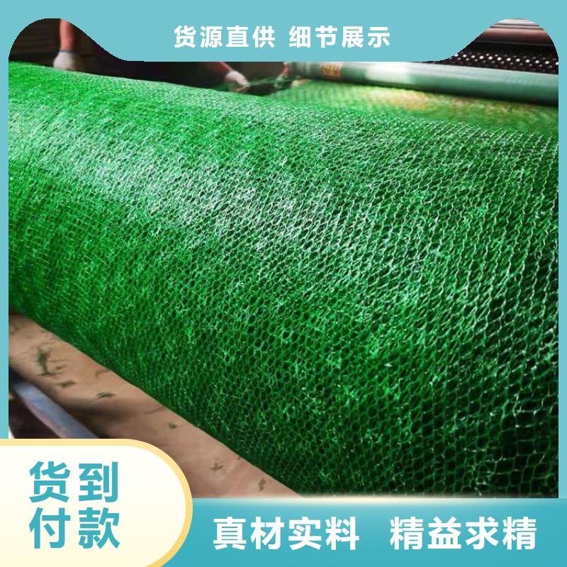三維固土網墊三維土工網墊