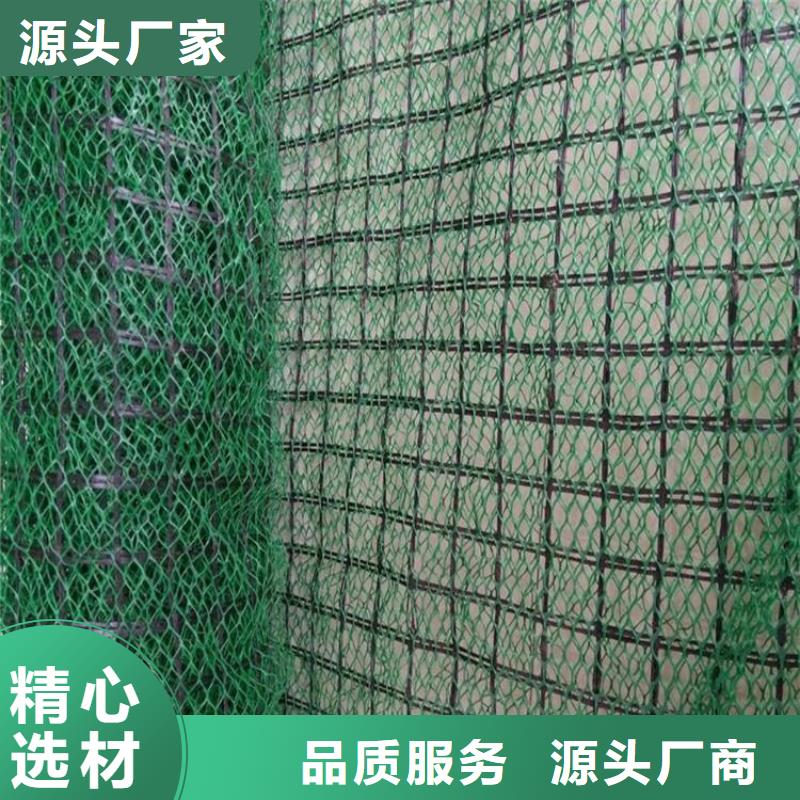 三維土工網(wǎng)墊-三維土工網(wǎng)墊
