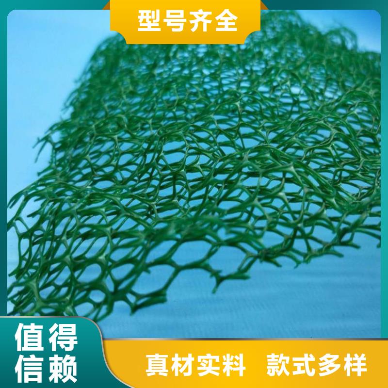 EM3三維植被網(wǎng)-綠色三維植被網(wǎng)