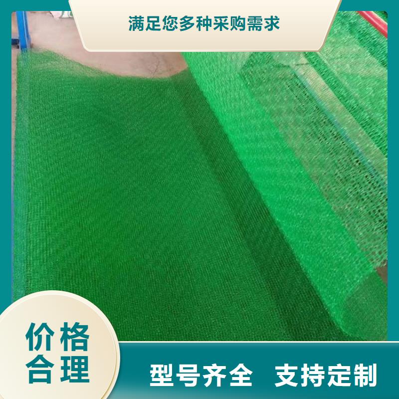 三維固土網墊EM5三維護坡植草網墊