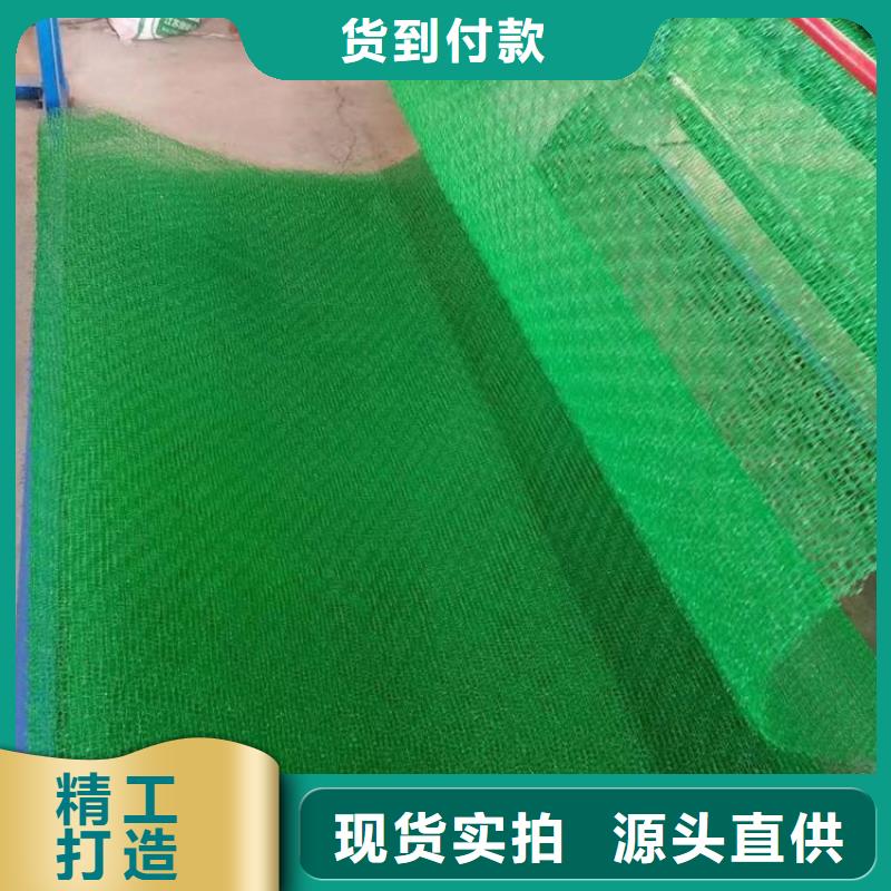 三維固土網(wǎng)墊了解更多