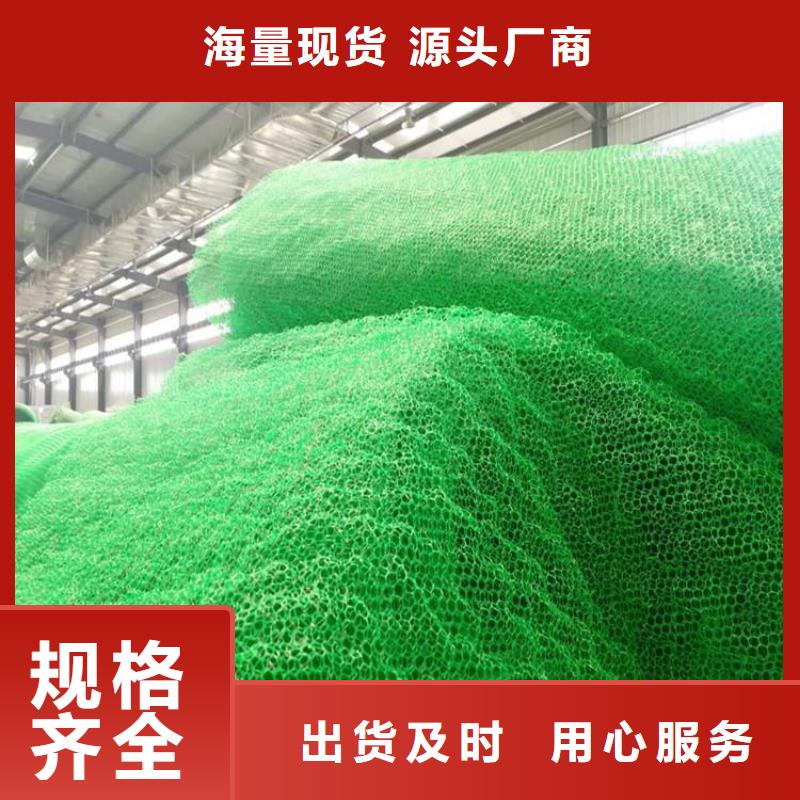 EM5三維加筋網(wǎng)墊圖片詳情