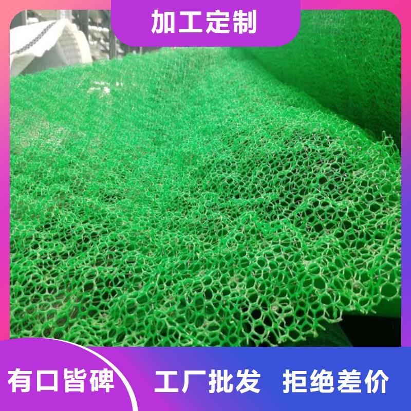 EM4三維固土網墊-2層3層三維植被網
