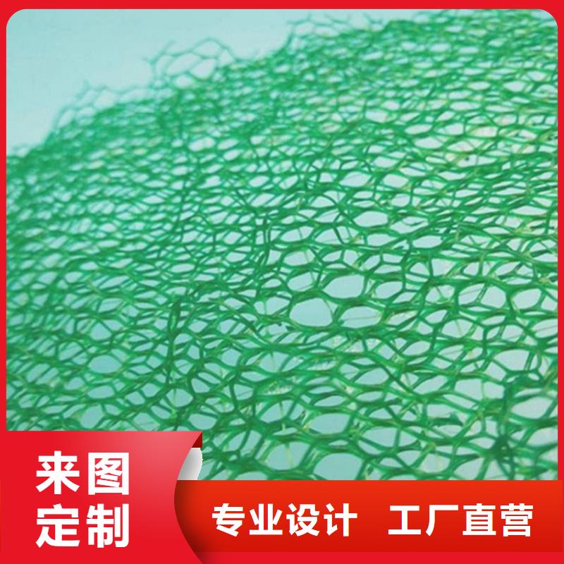 三維植被網-EM3三維土工網墊