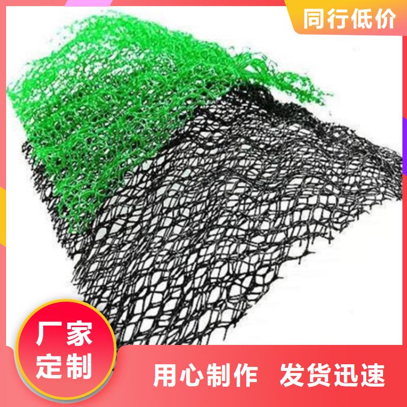 三維植被網(wǎng)排水板采購