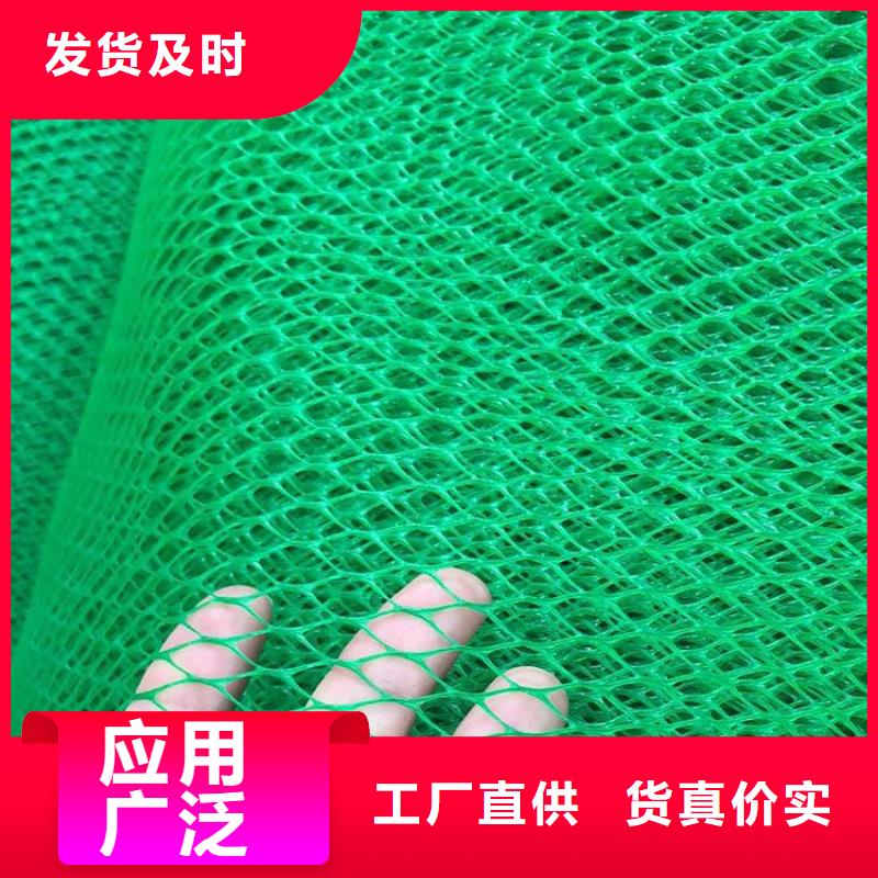 EM3三維土工網墊-三維植被網