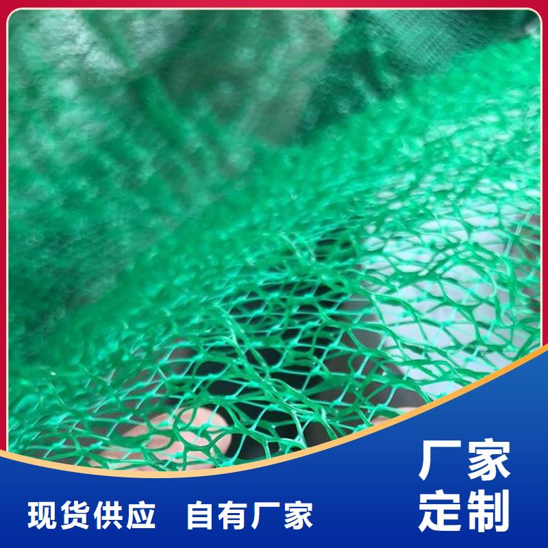 三維護(hù)坡植草網(wǎng)墊-EM4三維土工網(wǎng)墊