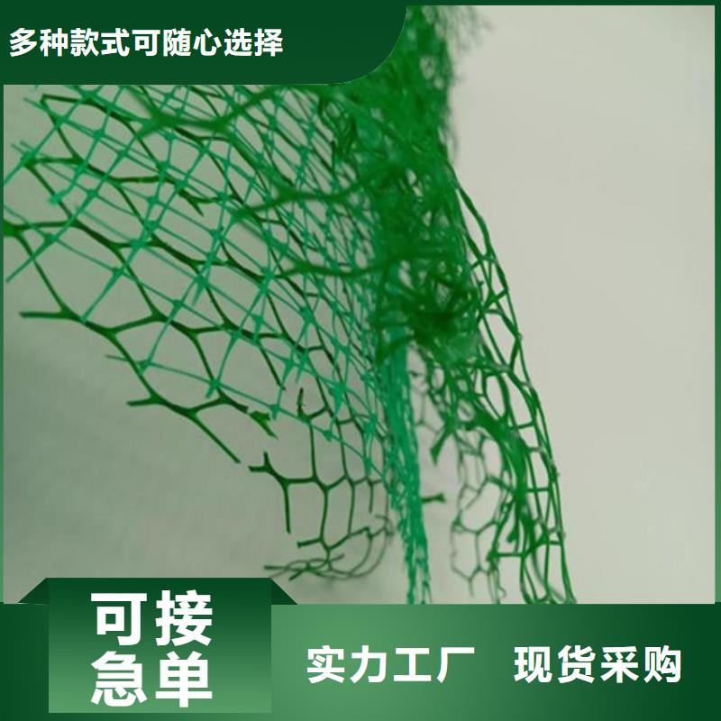 三維土工網墊-EM3三維土工網墊