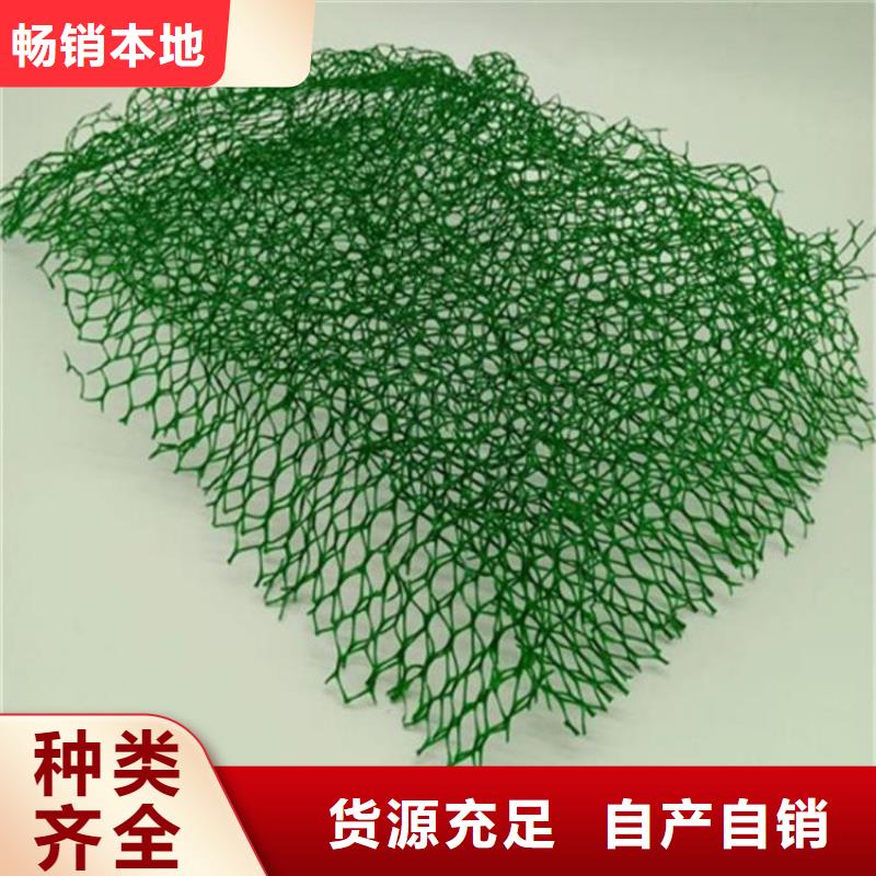 三維土工網(wǎng)墊-EM3三維加筋網(wǎng)墊