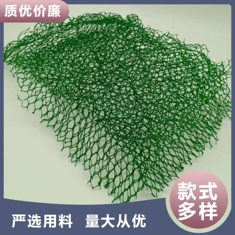 三维植被网,玻纤格栅精心选材
