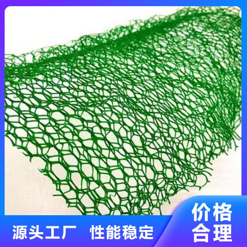 三維固土網(wǎng)墊-綠色三維植被網(wǎng)