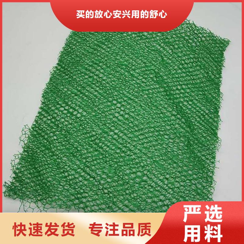EM3三維土工網(wǎng)墊