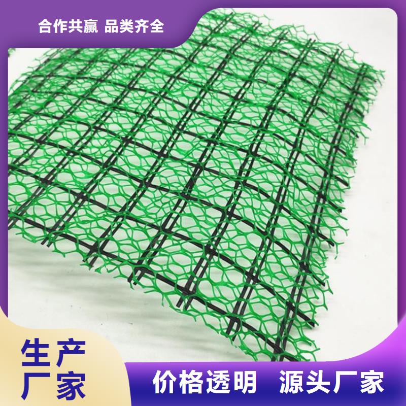 塑料绿化加筋护坡植草网垫
