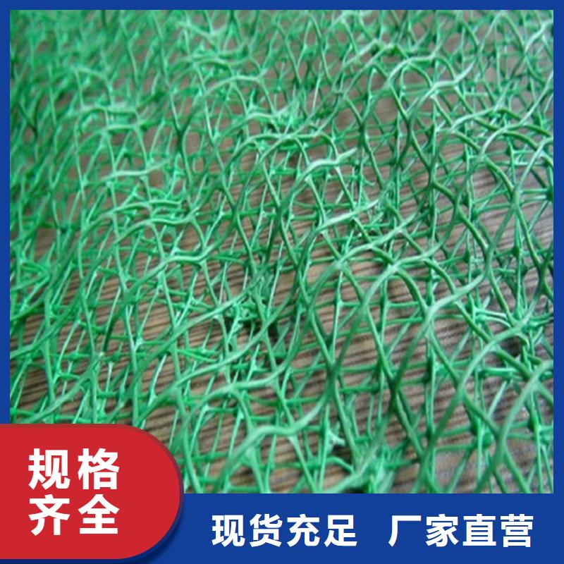 加筋EM3三維植被網