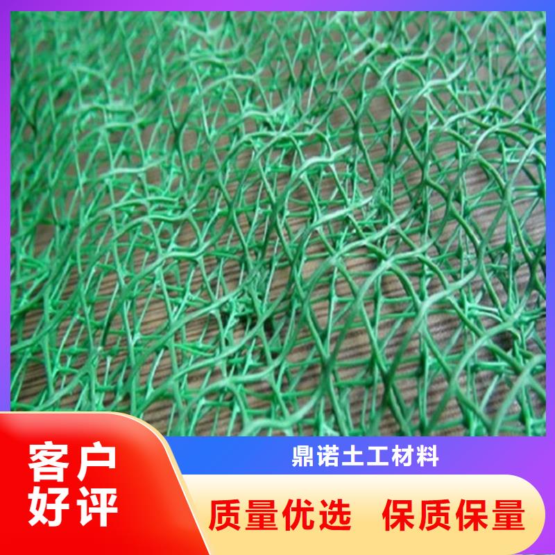 EM3三維固土網墊-土工網墊