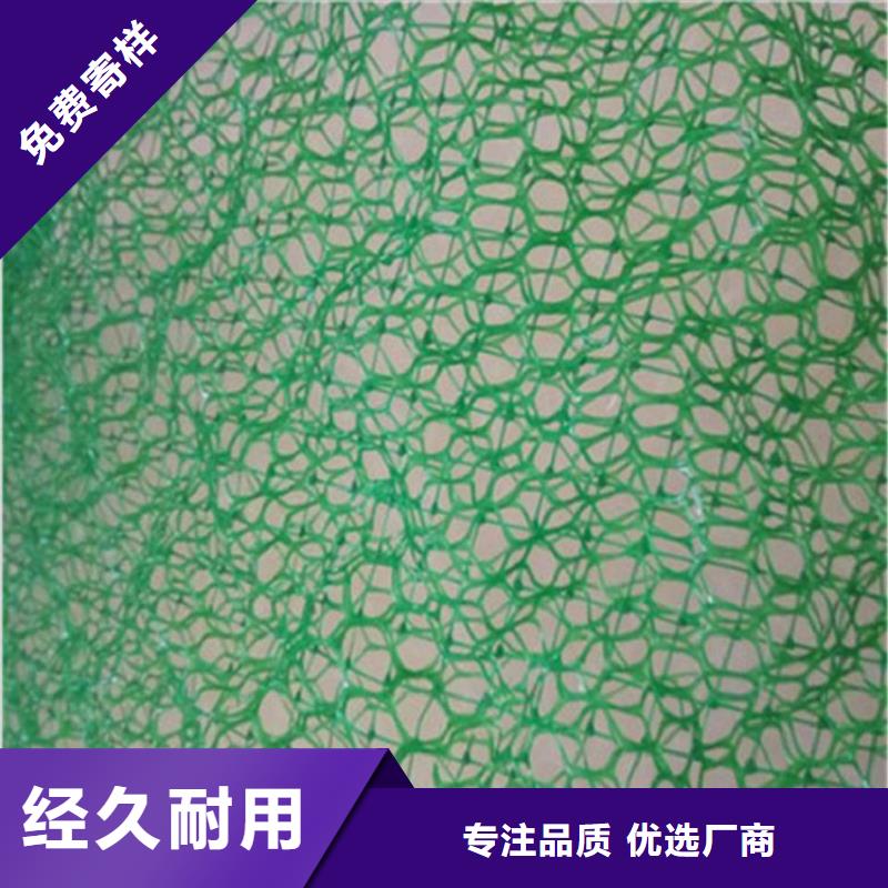 塑料EM3三維固土網墊