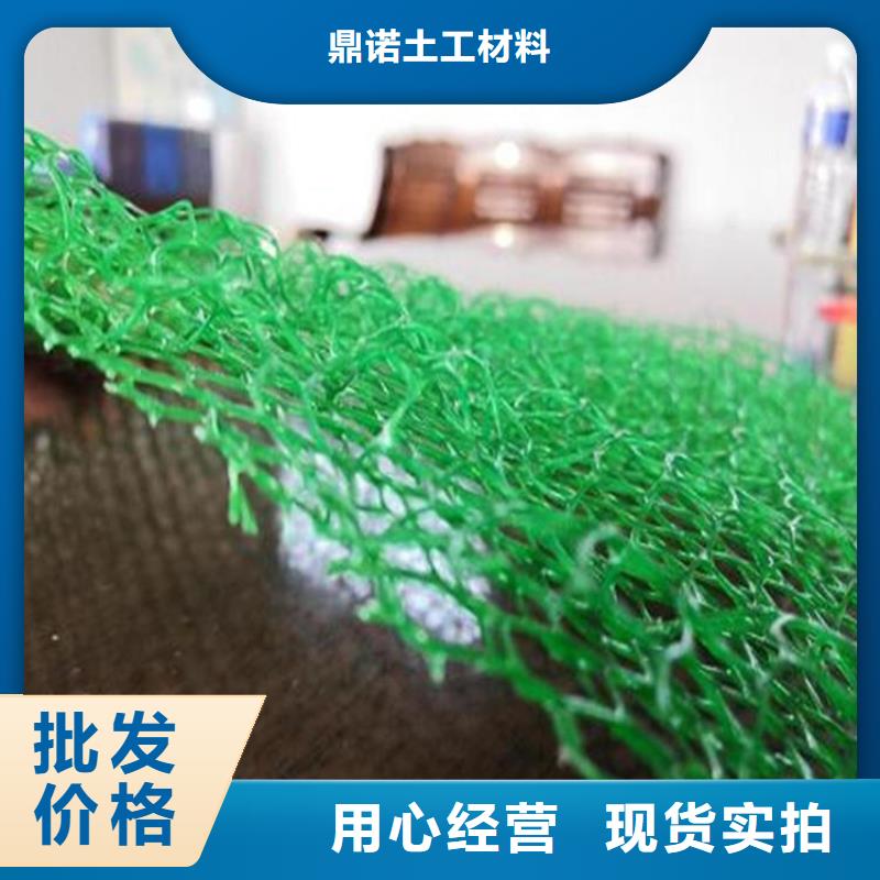 三維植被網護坡EM3