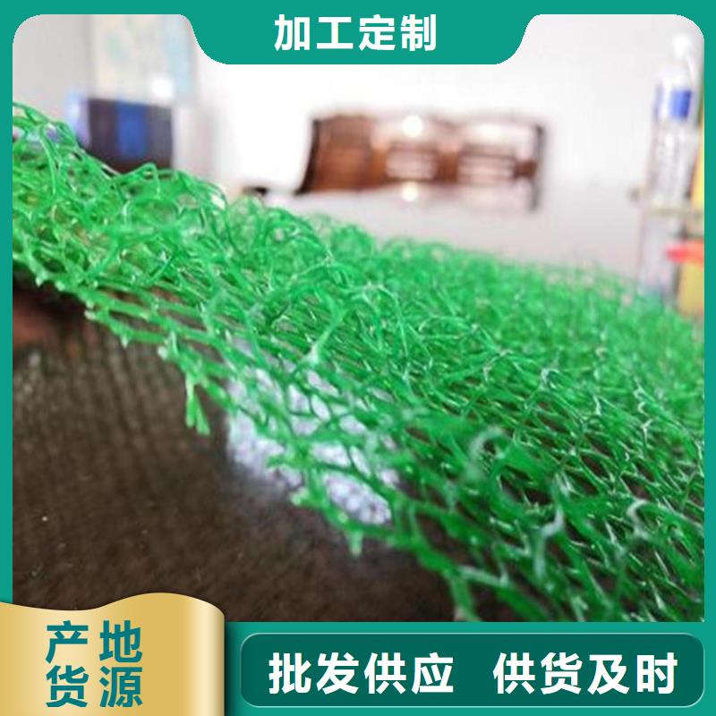 三維土工網(wǎng)墊-EM3三維土工網(wǎng)墊