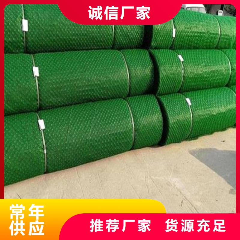 三維土工網(wǎng)墊-三維固土網(wǎng)墊
