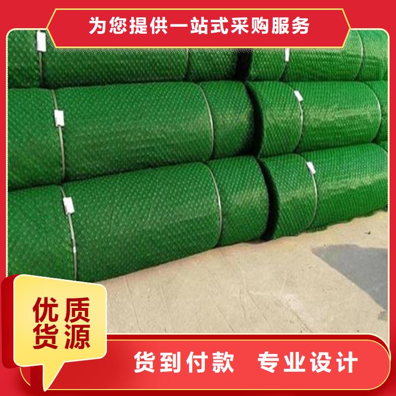 環(huán)保草皮三維植被網(wǎng)