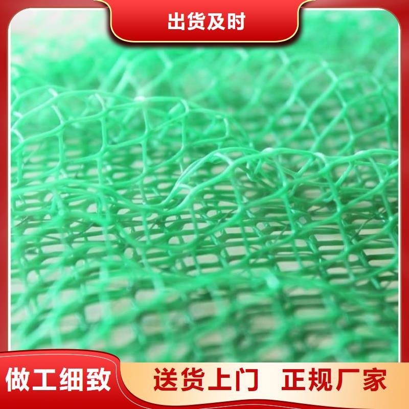 環(huán)保草皮三維植被網(wǎng)