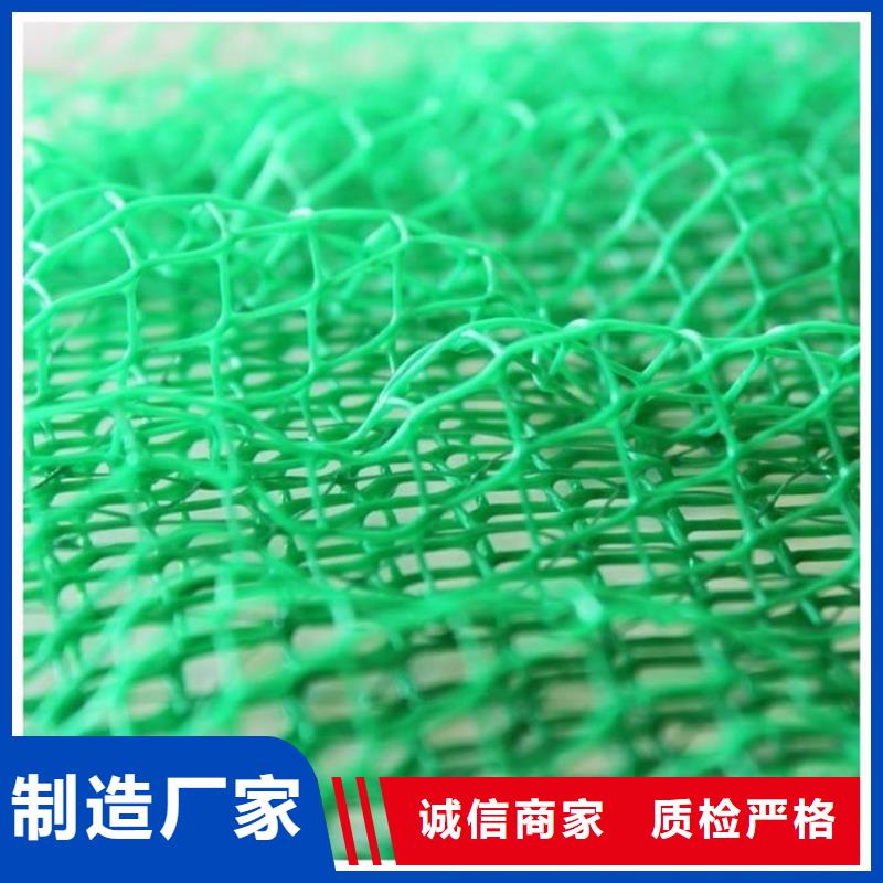 三维植被网批发零售