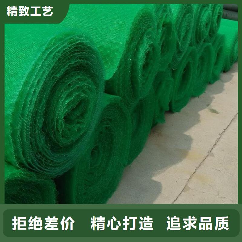 三維土工網墊-三維固土網墊