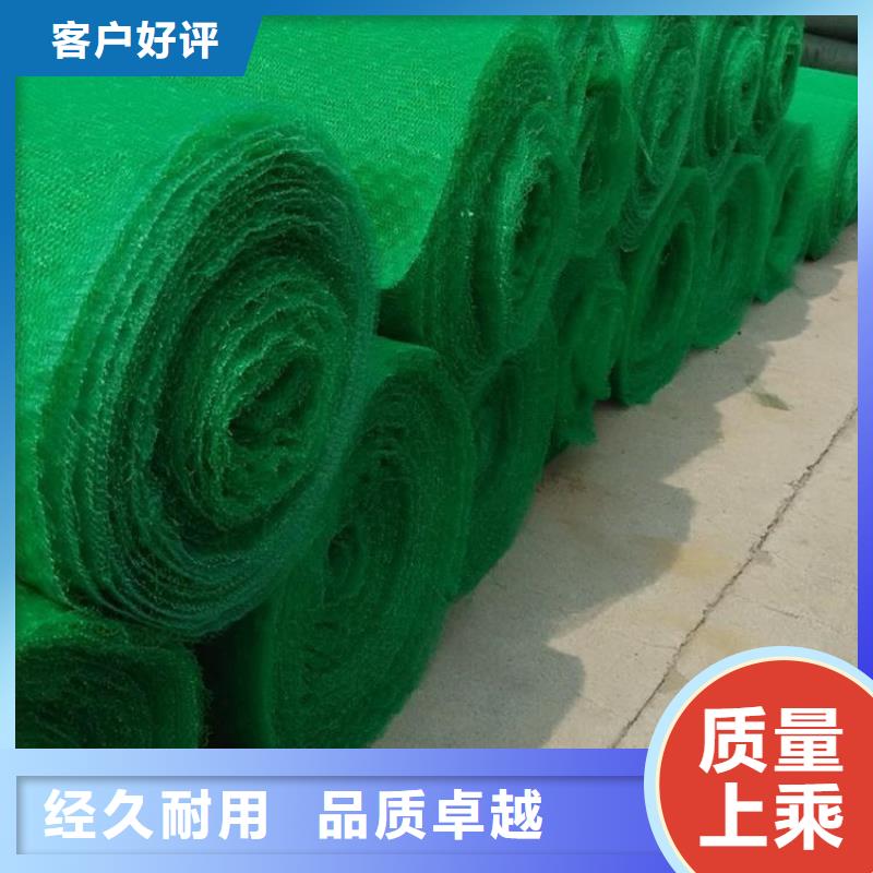 三維植被網-EM3三維土工網墊