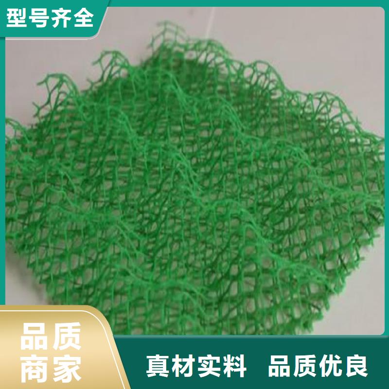 三維植被網-三維護坡植草網墊