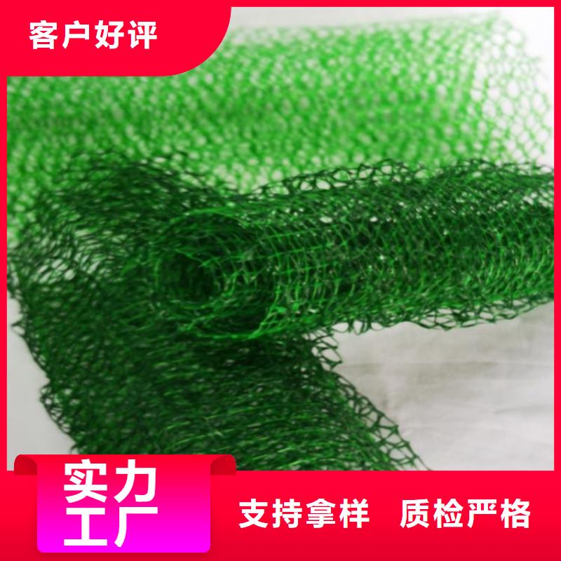 環(huán)保草皮三維植被網(wǎng)