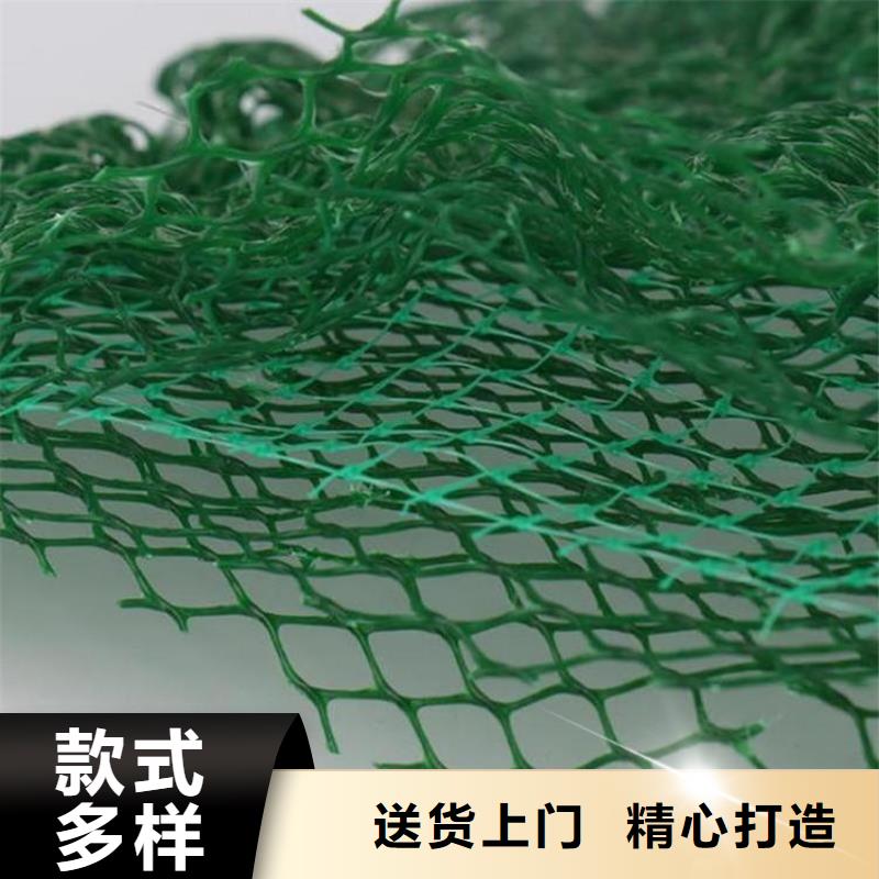 三維植被網防滲膜為您提供一站式采購服務